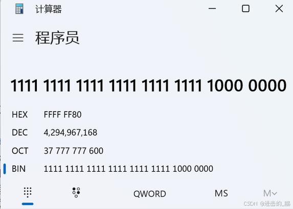 C语言中，如何深入探讨长尾词在整形数据存储中的影响与优化策略？