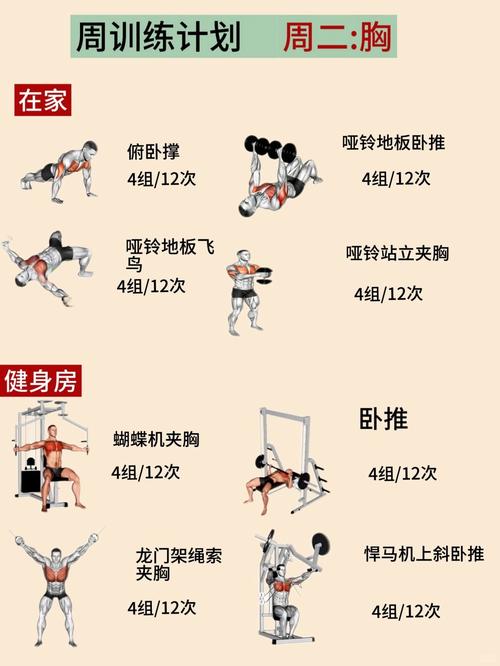 美团CodeM初赛Round A的身体训练如何安排？
