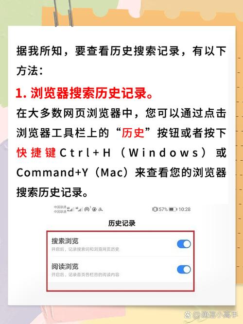 如何快速查询网站历史记录，实现域名多途径解锁？