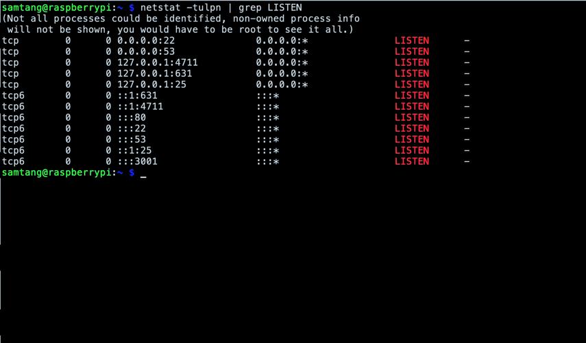 如何查询具体Java程序在Linux系统下的实时内存占用大小？