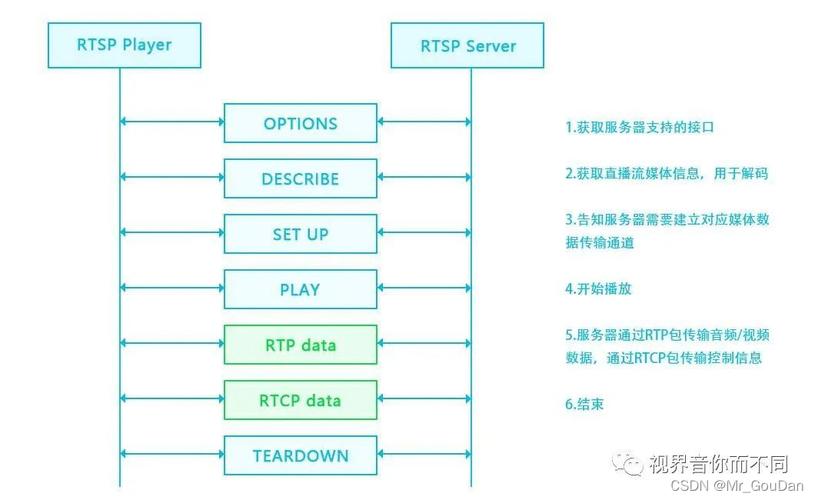 Delphi如何深入解析RTSP请求和响应头细节？