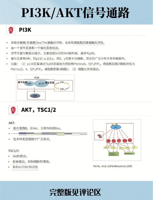 Linux SIGTERM 信号如何有效捕获处理？