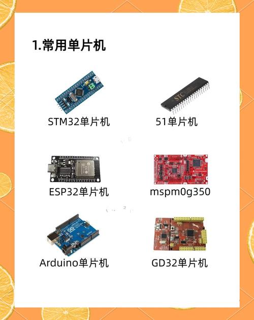 这个模块的功能是什么？