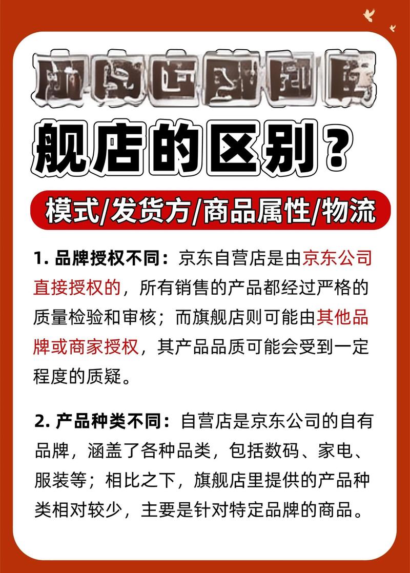 独立站与自营店有何本质差异？新手开店该如何抉择？