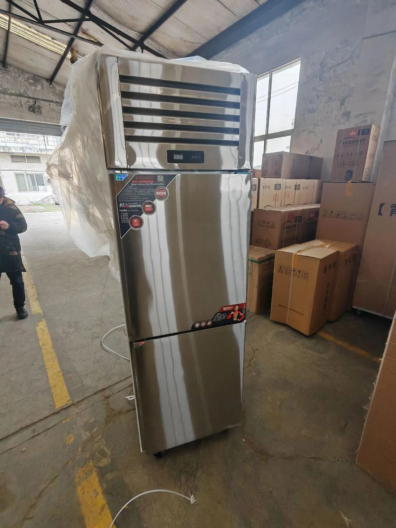 哪个品牌的双门家用冰柜性价比高，适合预算有限的消费者？