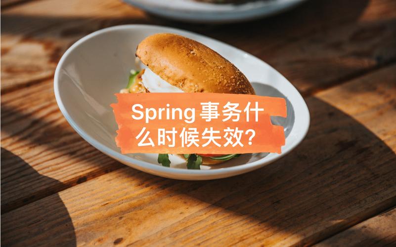 Spring事务处理失败原因及对策有哪些？