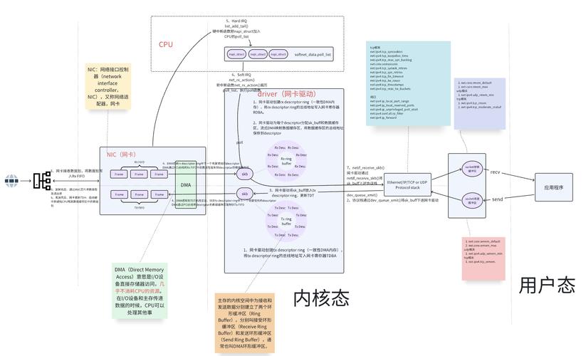如何通过dumpcap协议解析，高效学习网络数据包分析技巧？