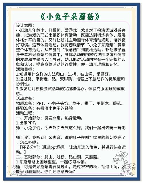 活动和项目有哪些相同点和不同之处？
