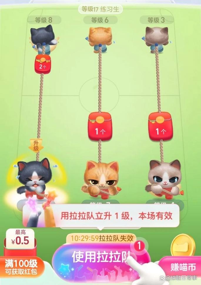 天猫618如何轻松领取大红包？喵运会参与攻略详解？