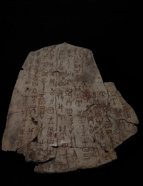 甲骨文数据库在哪些细分领域有具体应用案例？