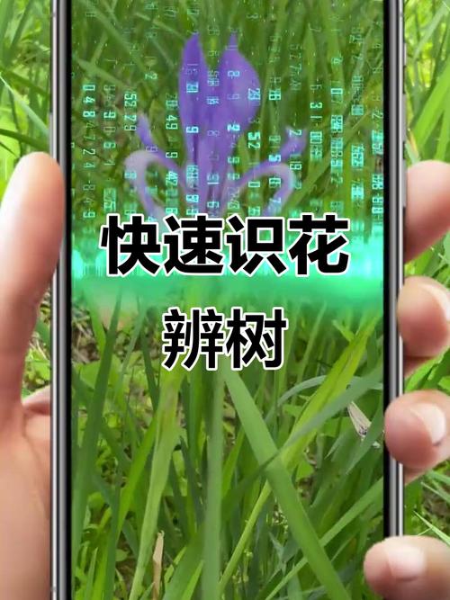 如何一步步用PHP连接并调用百度植物识别API？