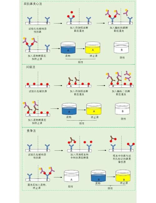 使用FormsAuthentication.SetAuthCookie后，如何判断Request.IsAuthenticated状态？