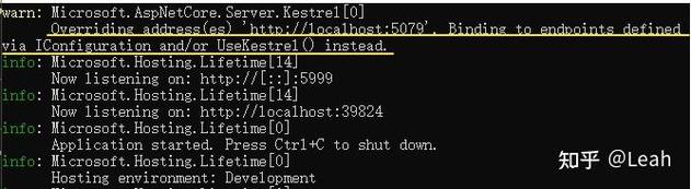 如何将ASP.NET Core Kestrel服务器配置为使用HTTPS进行安全部署？