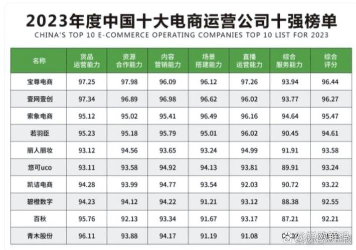 国内有哪些知名电商代运营公司？