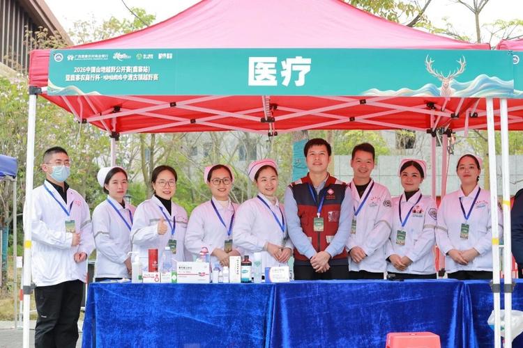 北京鹿马SEO和南京SEO专家，哪家更专业呢？