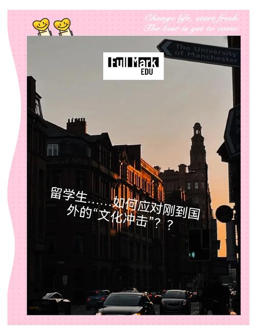 跨国项目如何有效应对各国文化差异及法规挑战？