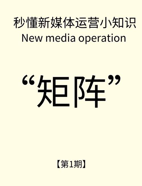 如何通过新媒体精准营销，高效触达目标用户群体？