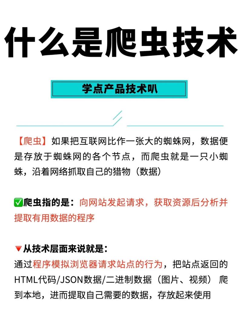 《爬虫许可一览：探索爬虫奥秘》中，有哪些许可规定是爬虫开发者必须了解的奥秘？
