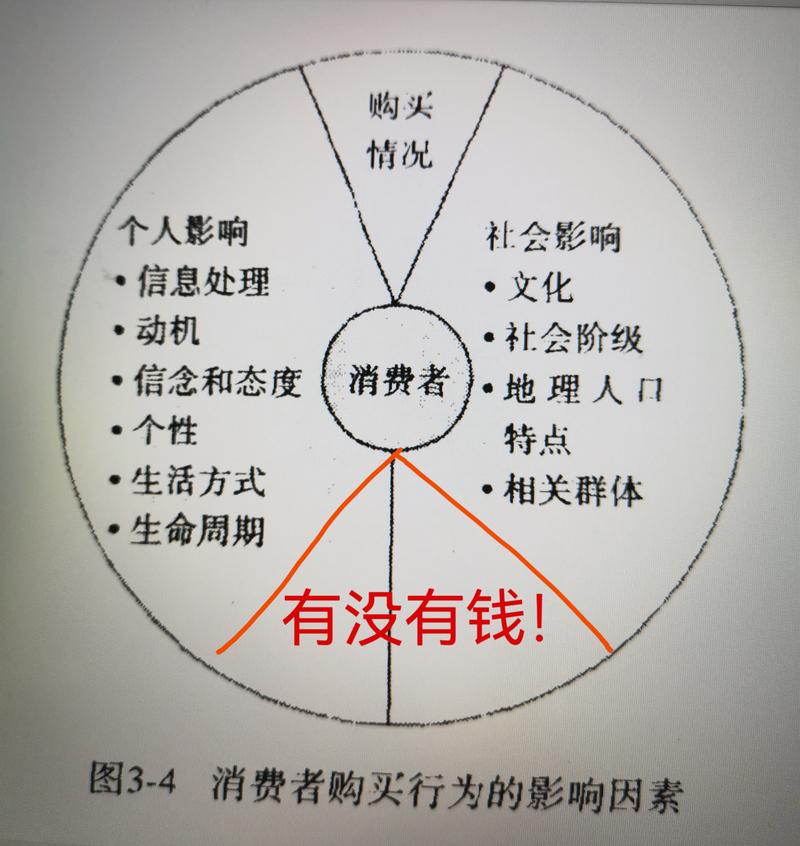 哪些关键因素会显著影响用户的付费转化行为？