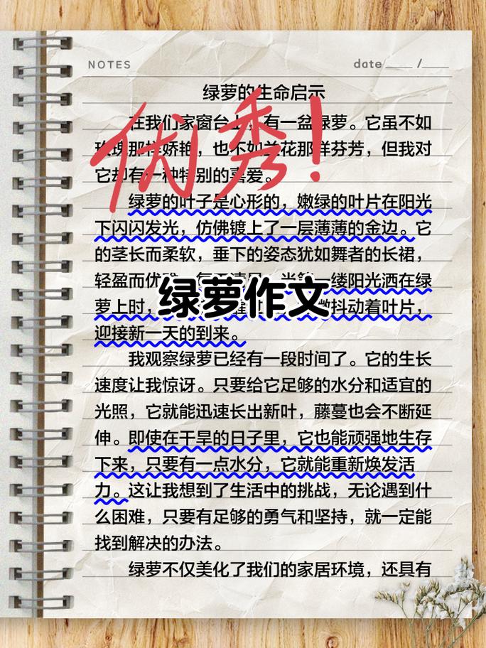 绿萝算法20：内链优化新挑战，如何应对的优化难题？