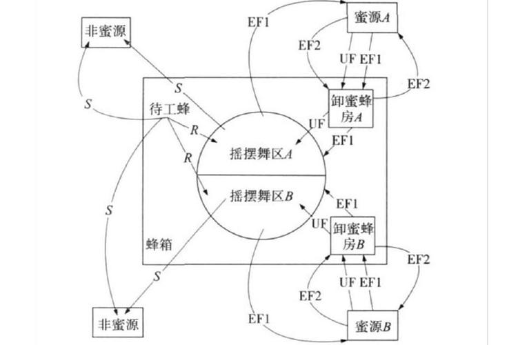 如何通过人工蜂群与粒子群算法结合解决路径优化问题？