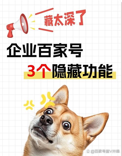 百度企业查询究竟叫什么真名？它有哪些隐藏功能？