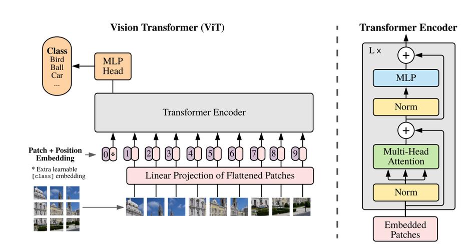 如何探讨ConvNeXt在2020年代卷积网络领域的应用前景？