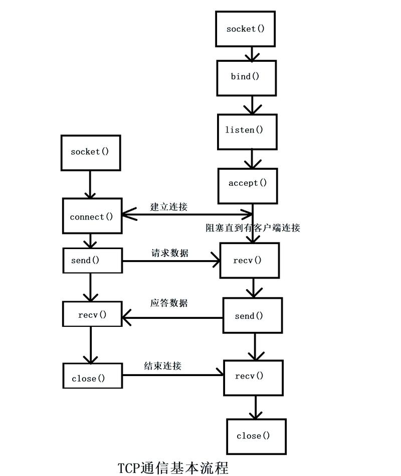 如何理解并改写C语言网络开发中基本Socket搭建的原理和应用？