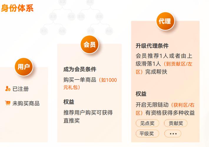 新链入网后SEO会突然突变吗？揭秘爆款内容制作秘籍！