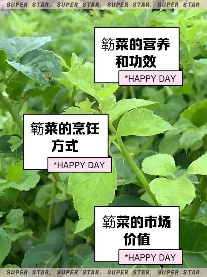 dirname(__FILE__)的作用和用途具体是什么？