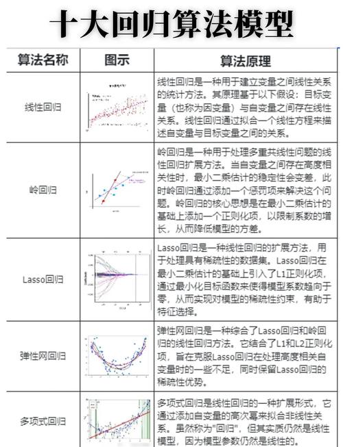 Lasso 回归如何实现复杂模型中的特征筛选与优化？