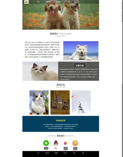 如何挑选既实用美观又响应迅速、操作简便的宠物网站模板呢？
