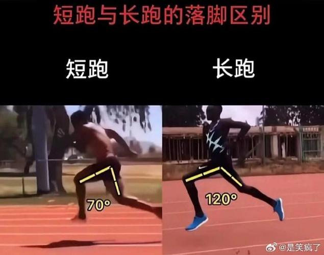 不同项目跑姿之间有哪些显著差异？