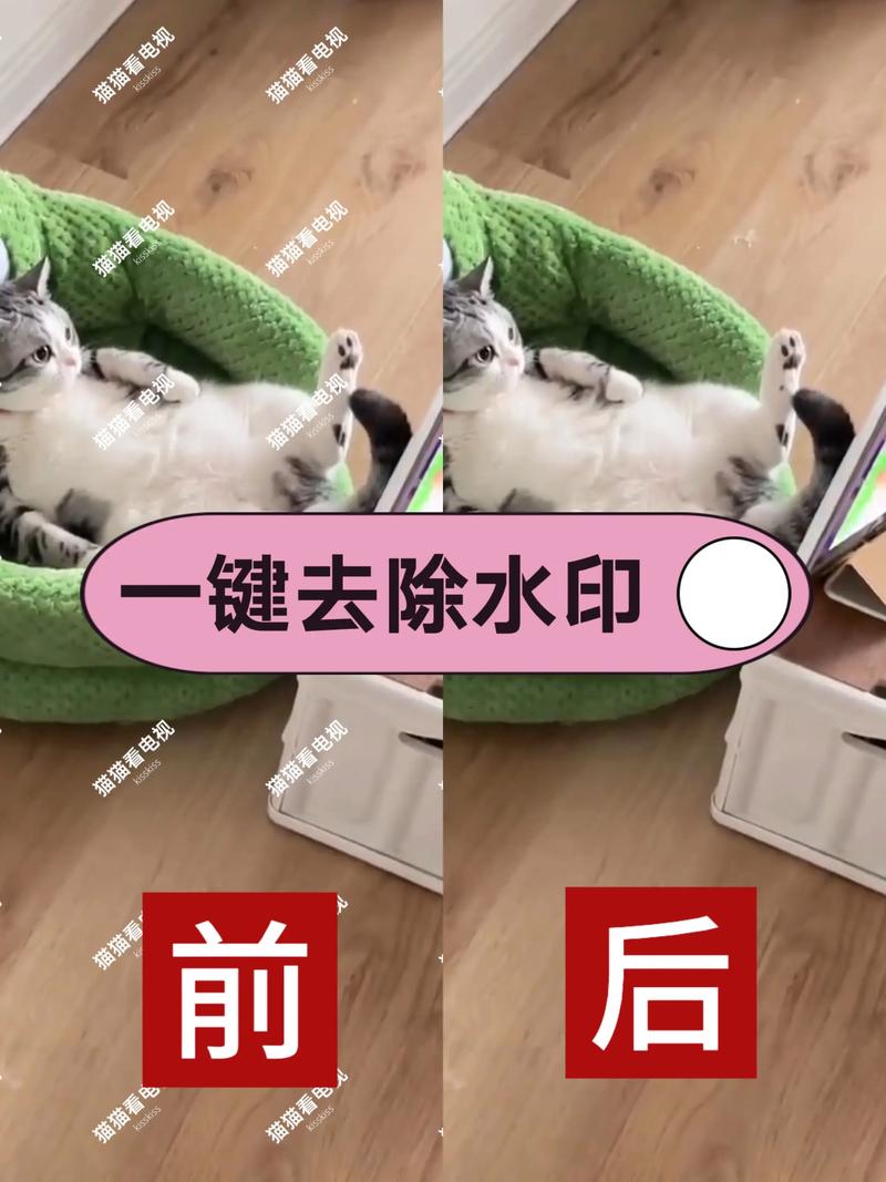 如何将图片水印加密处理？