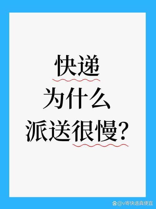 为什么独立站物流总是慢？揭秘背后的原因！