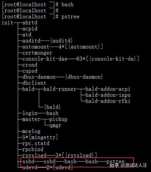 Shell基础 — Bash特殊符号（二）如何深入理解？