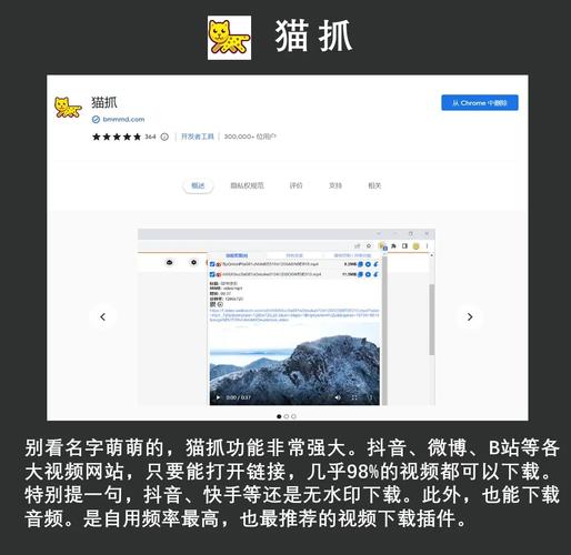 有没有2022年最新版，一键下载的Chrome插件神仙网站推荐？