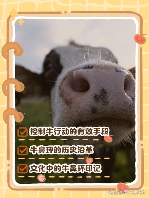 牛的基因数据库究竟隐藏着怎样的神秘信息？