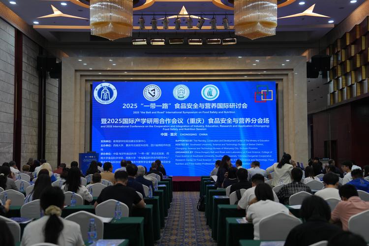 北碚论坛作为本地互动新阵地，有什么亮点和特色？