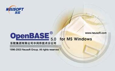 东软究竟采用了哪款具体型号的数据库系统？