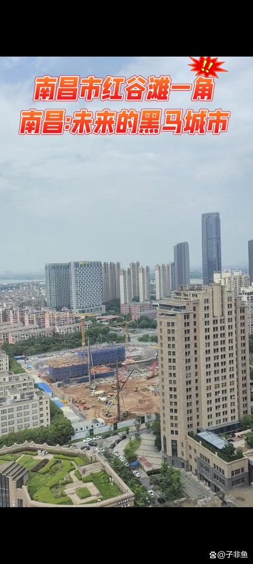 南昌专业房产网站崛起，未来房产平台发展前景如何？