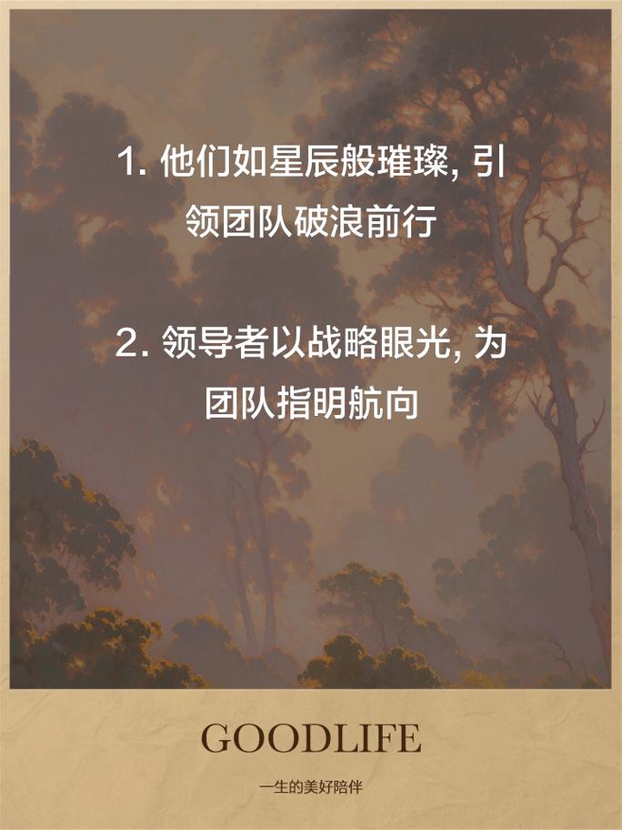 资阳专业网站建设公司，卓越数字体验与SEO核心力量打造的专业团队，你们有这样的团队吗？