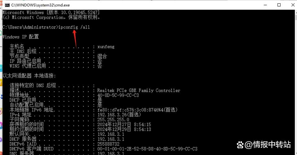 如何通过cmd命令快速查看Windows 10电脑的详细IP地址信息？