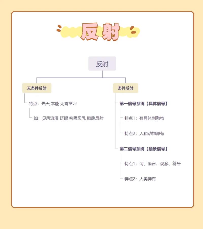 PHP反射原理和用法如何深入应用于复杂类和对象分析？