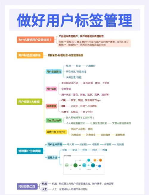 OC基础day03中如何高效运用长尾关键词进行精准营销？