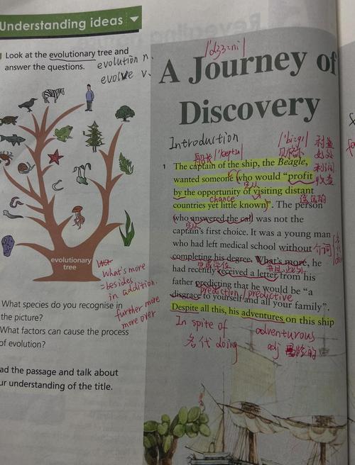 HDU3333TuringTree是什么长尾词？请详细解释其含义和用途。