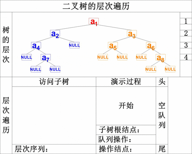 C语言中，如何掌握树的基本概念与操作？