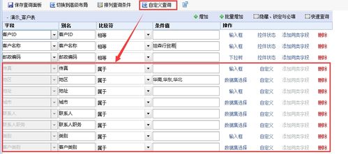 如何实现高级自定义查询功能？