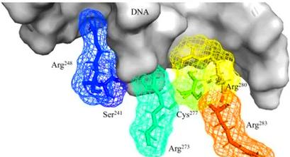 Scipy统计中的Fisk函数，如何应用于长尾分布分析？
