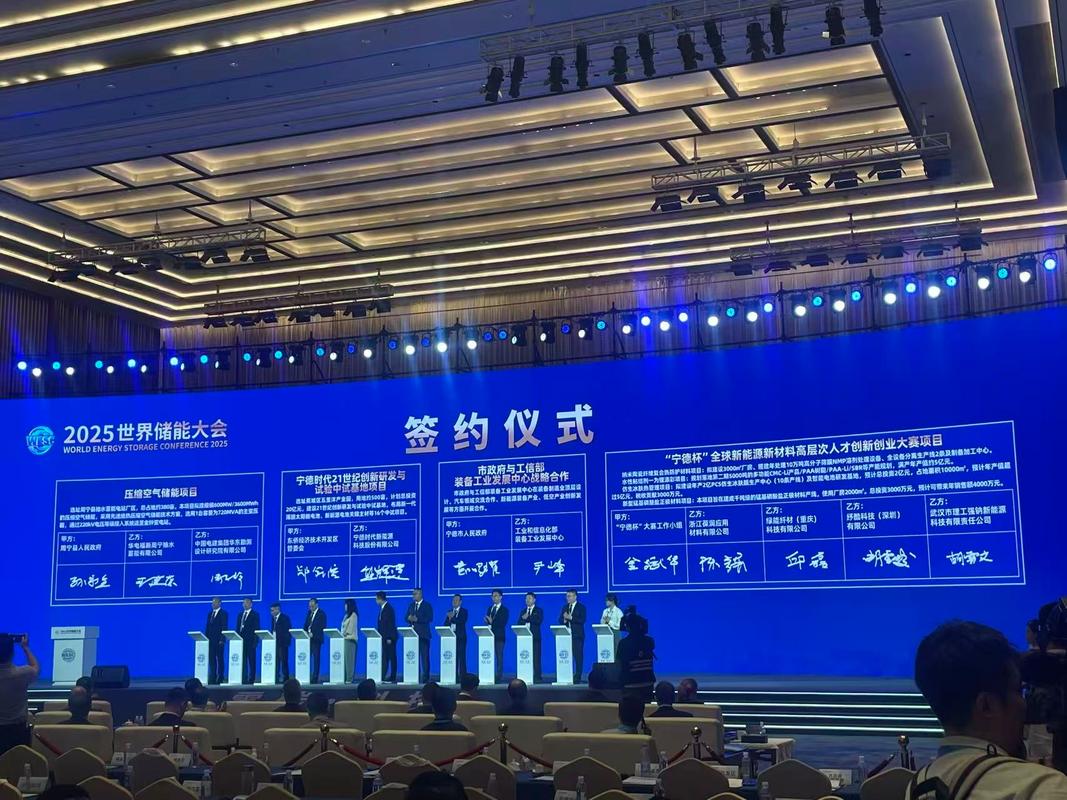 深圳市丽特光电技术有限公司的LED网站建设项目签约了吗？这个项目进展如何？